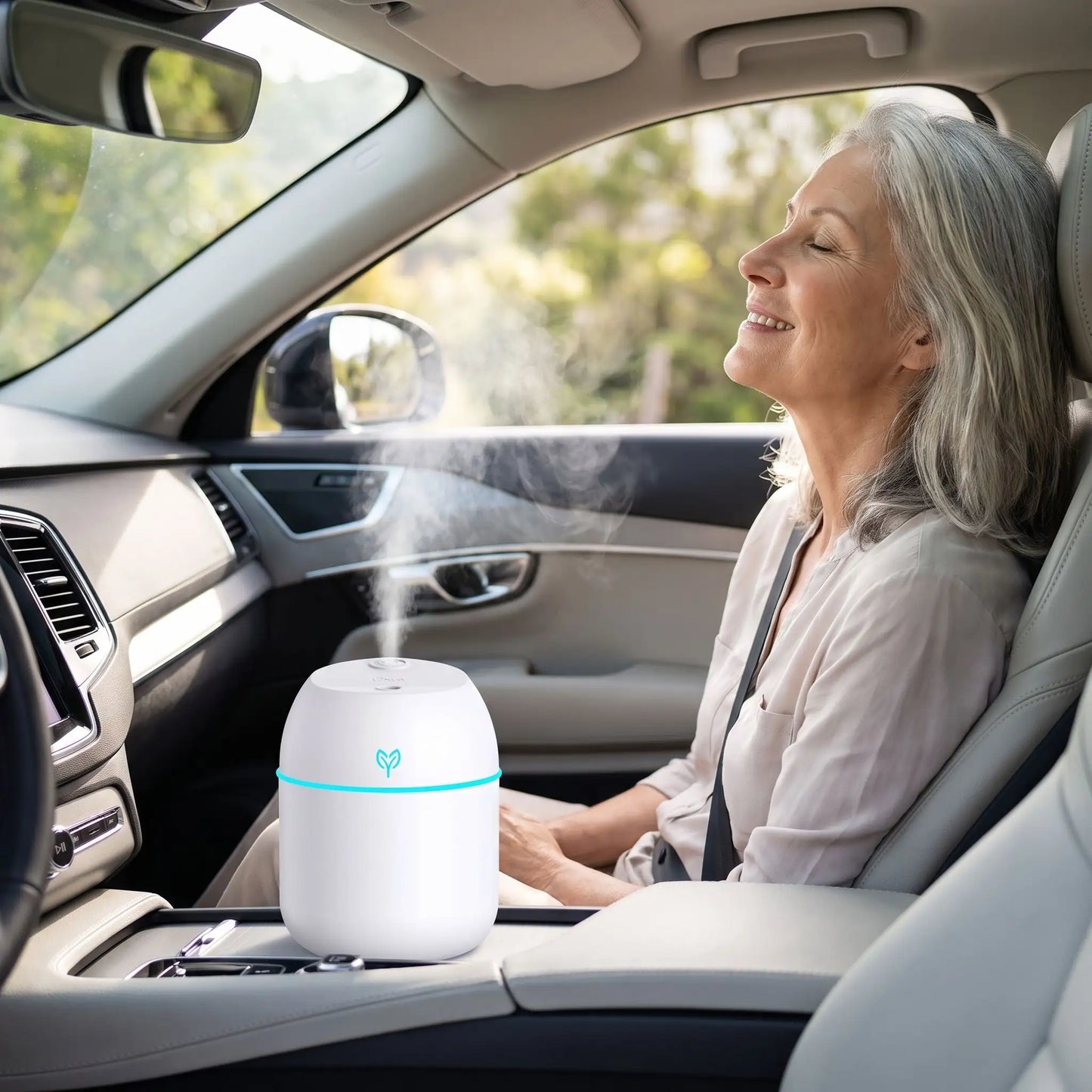 humidificateur d'air canicule