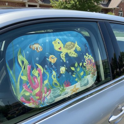 pare-soleil-voiture-tortue