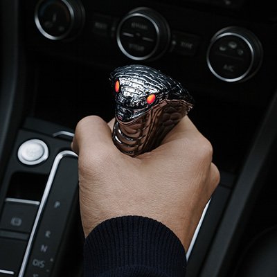 pommeau de vitesse universel