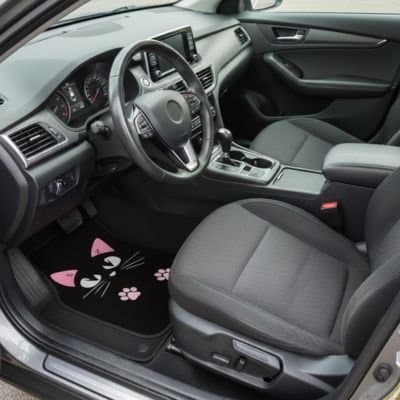 tapis-de-voiture-universel
