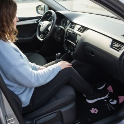 tapis-de-voiture